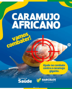 Imagem da notícia - Prefeitura de Barcelos reforça orientações para prevenção e combate ao caramujo africano