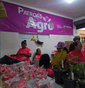 Imagem da notícia - Barcelos inaugura Box Patroas do Agro e fortalece protagonismo das mulheres do setor primário